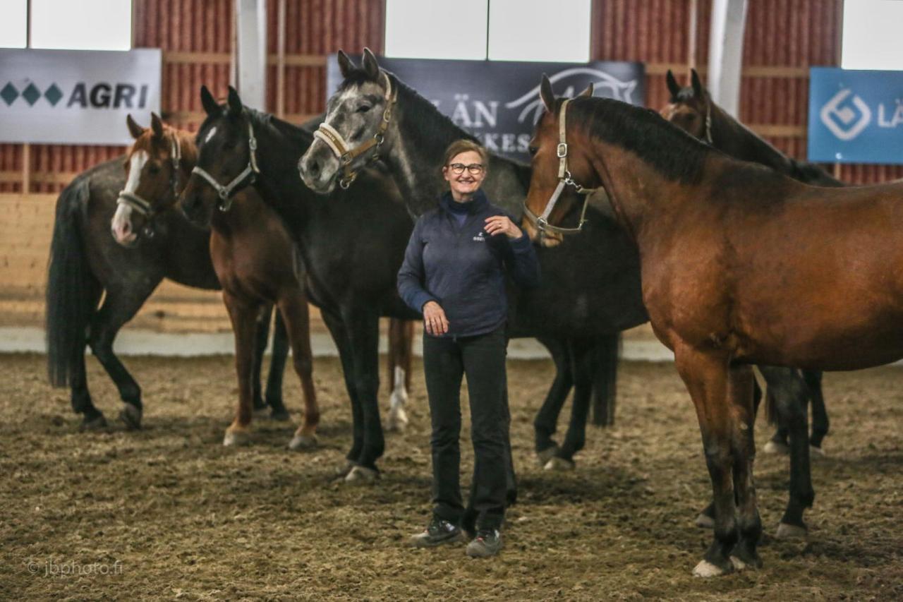 Siirilaen Tila Pension Seinäjoki Buitenkant foto