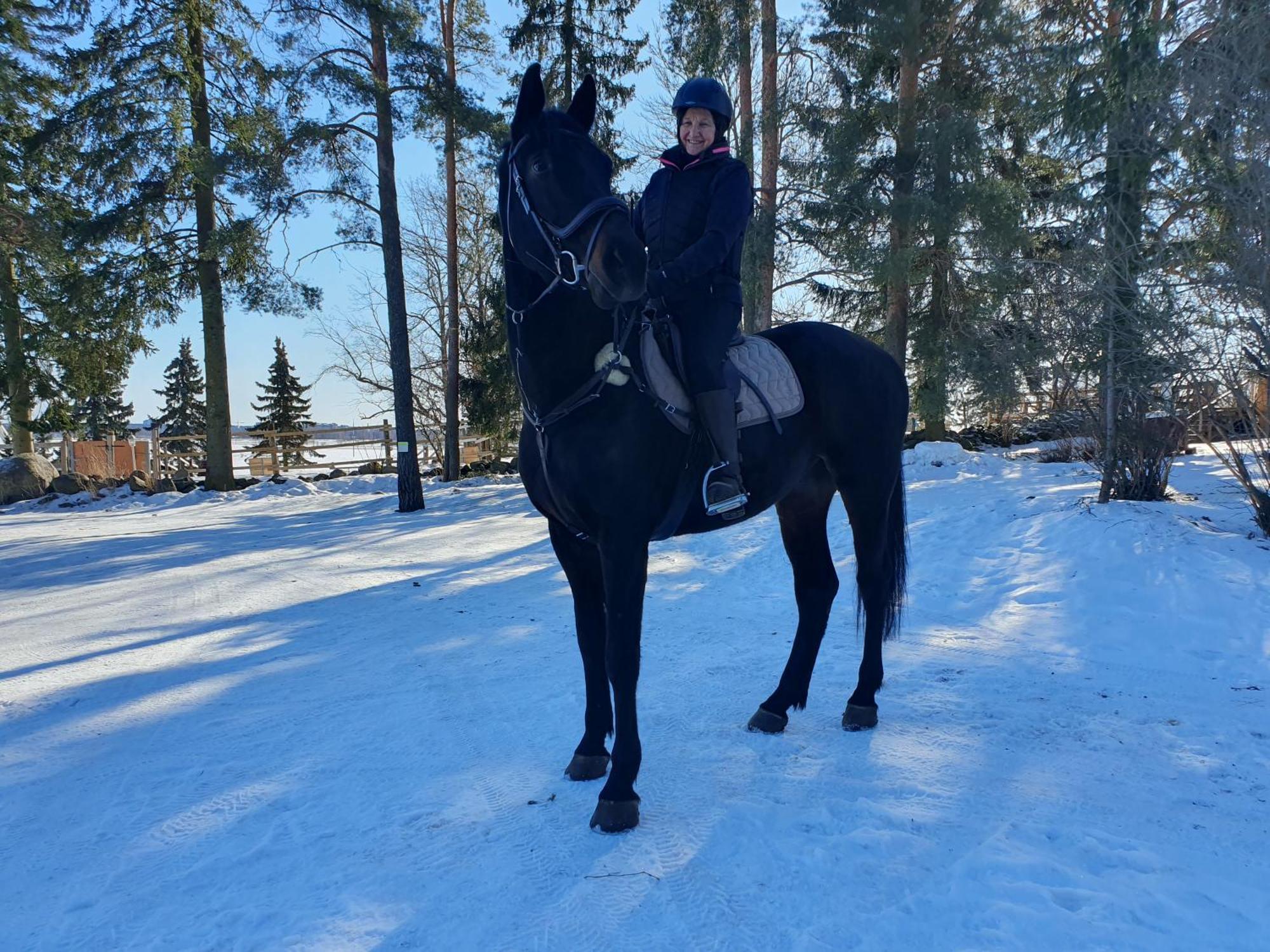 Siirilaen Tila Pension Seinäjoki Buitenkant foto