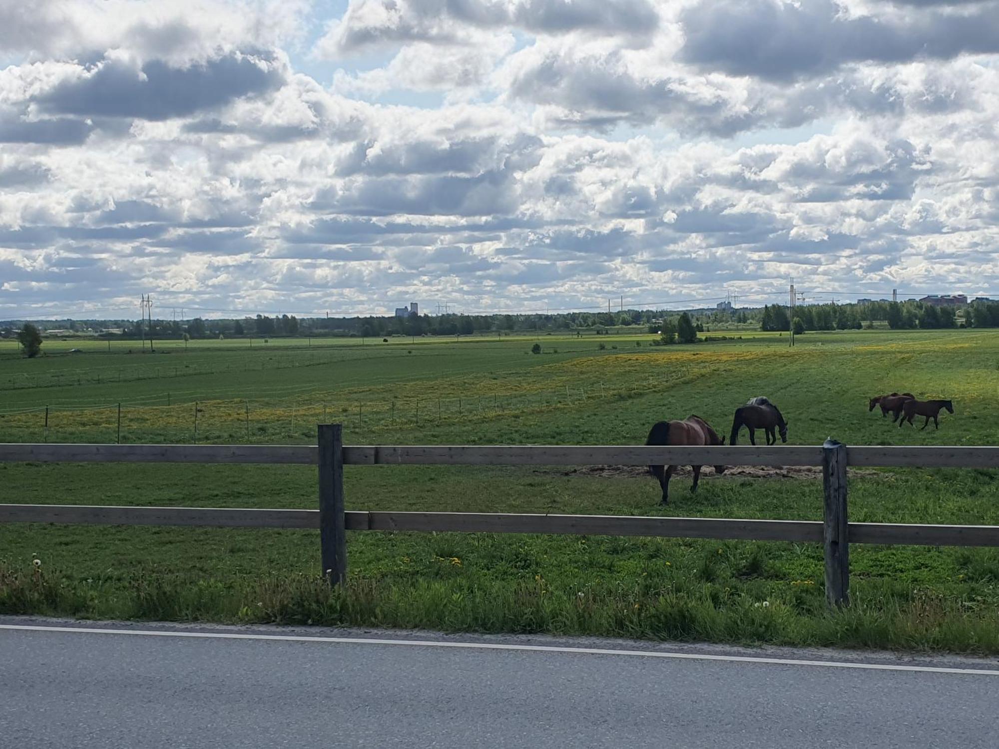 Siirilaen Tila Pension Seinäjoki Buitenkant foto