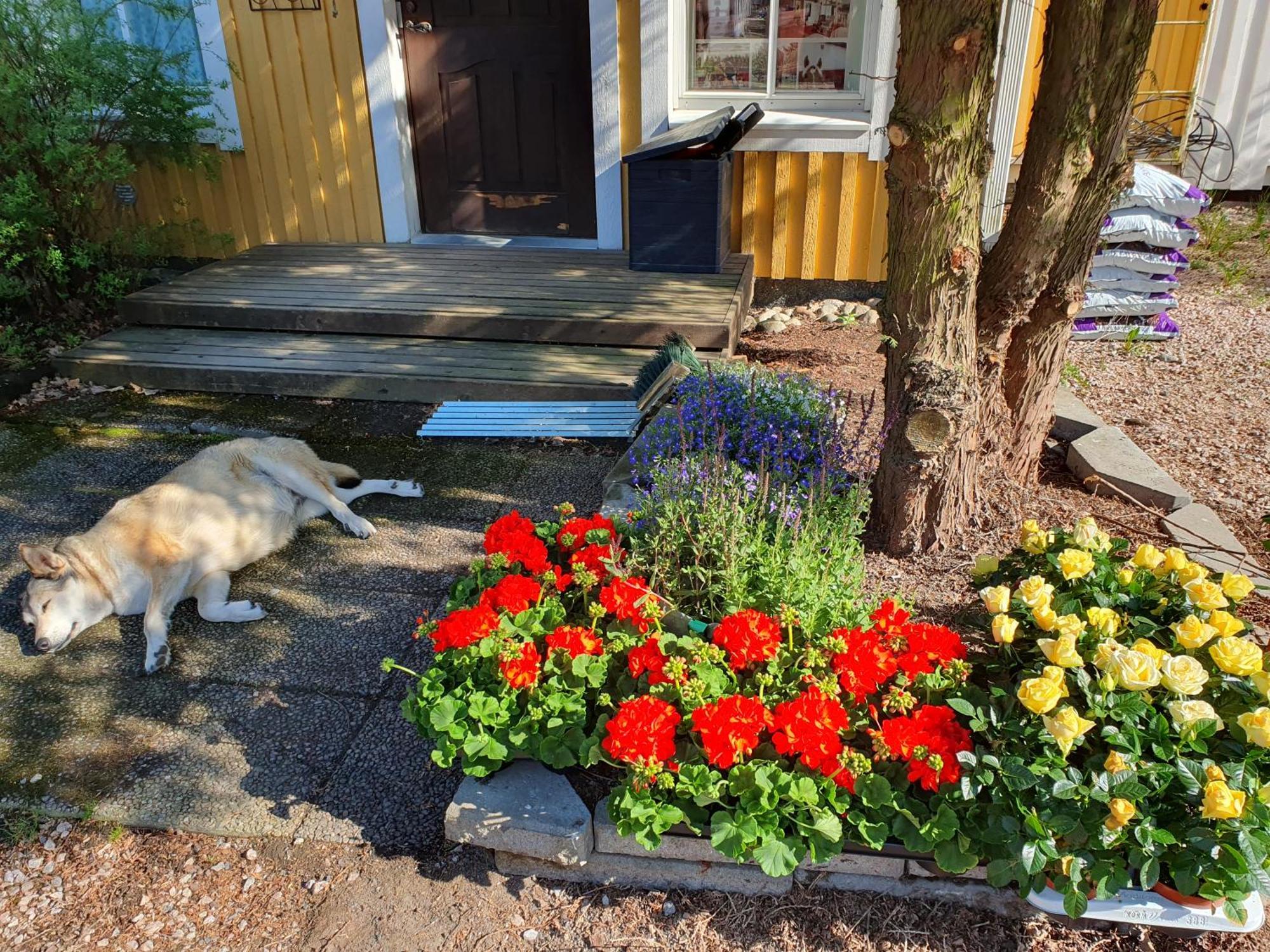Siirilaen Tila Pension Seinäjoki Buitenkant foto