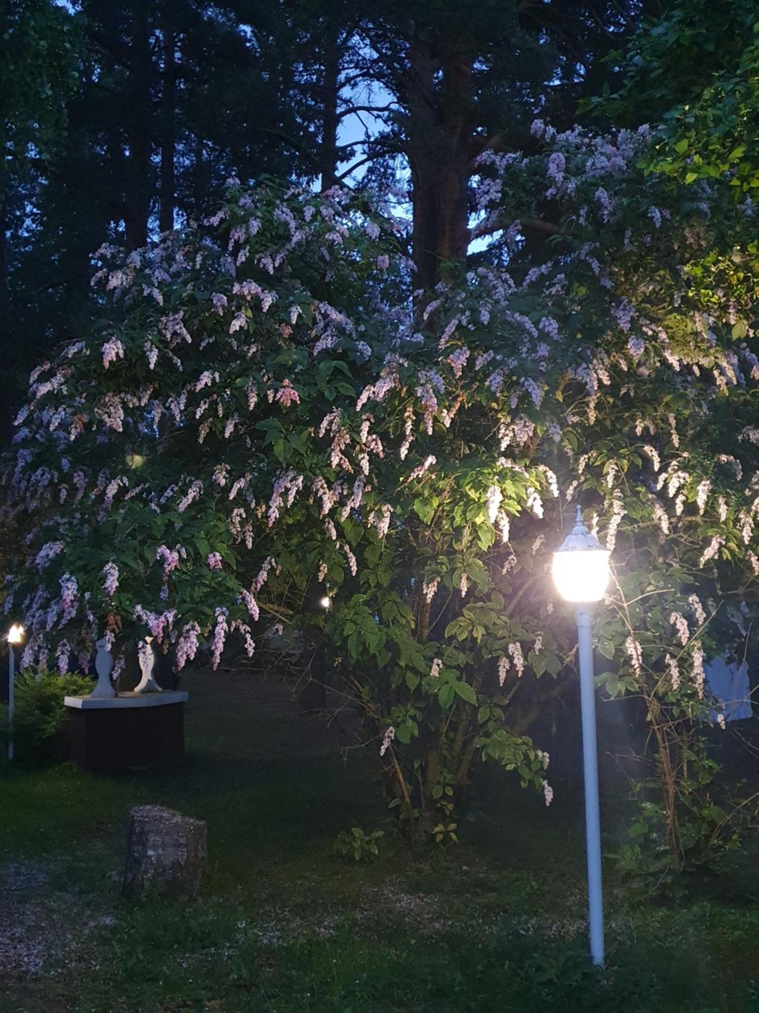 Siirilaen Tila Pension Seinäjoki Buitenkant foto