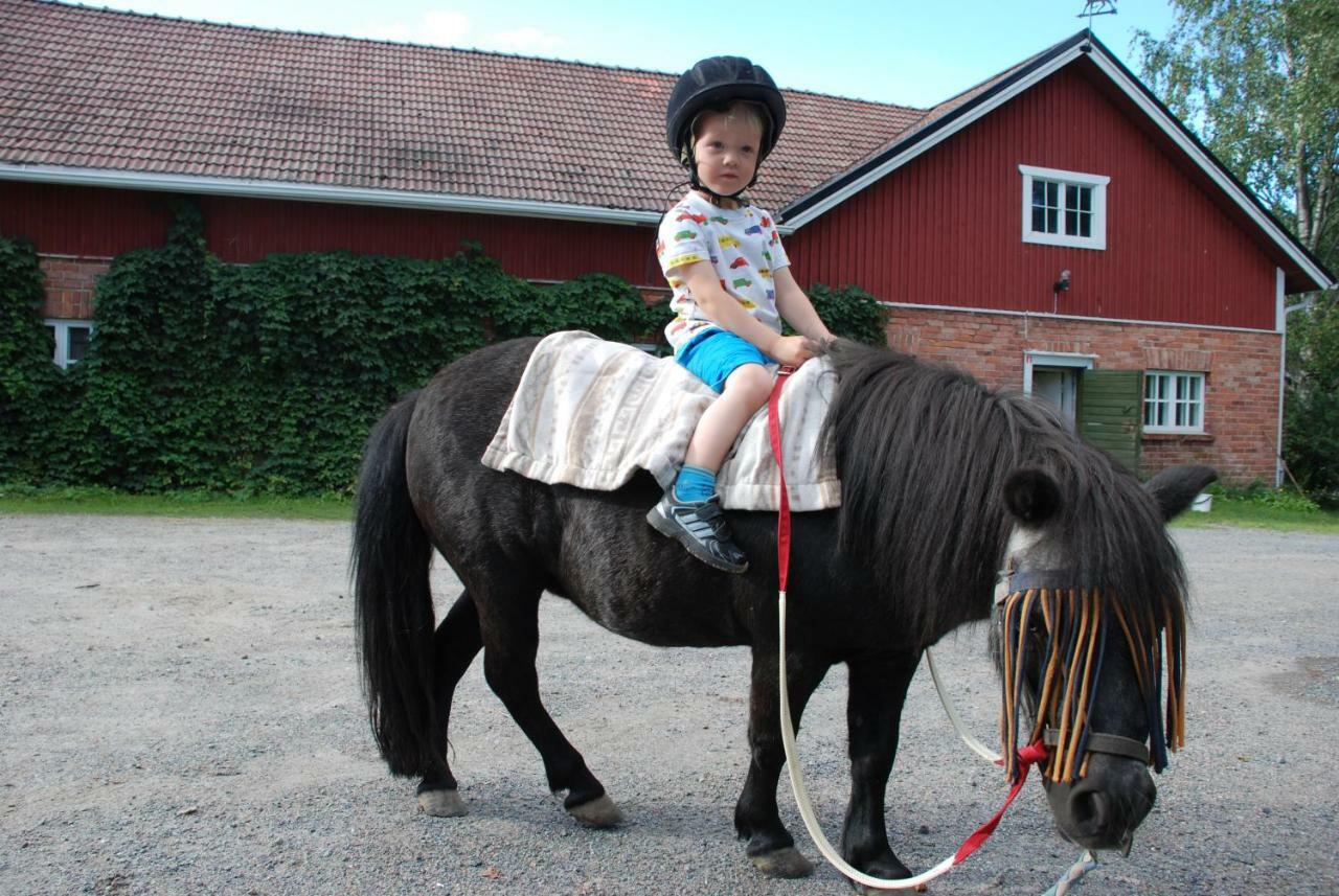 Siirilaen Tila Pension Seinäjoki Buitenkant foto