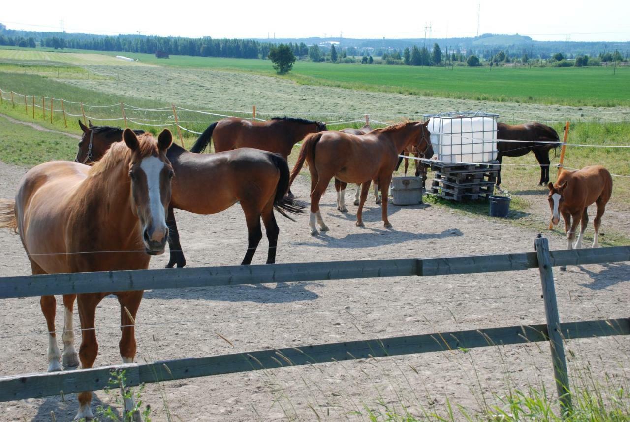 Siirilaen Tila Pension Seinäjoki Buitenkant foto